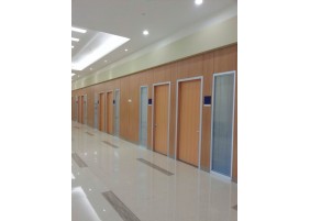 Modern clinic door