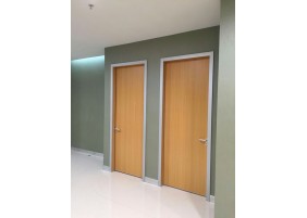 Non-Solid Wood Hospital Style Room Door