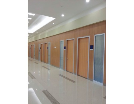 Modern clinic door