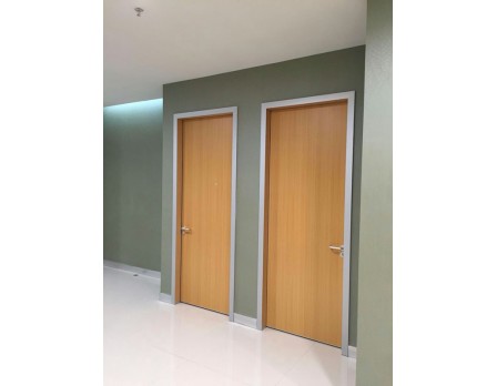 Non-Solid Wood Hospital Style Room Door